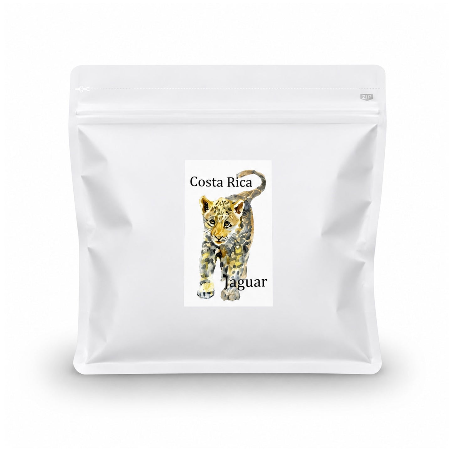 コスタリカ SAVE JAGUAR ブラックハニー