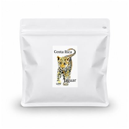 コスタリカ SAVE JAGUAR ブラックハニー