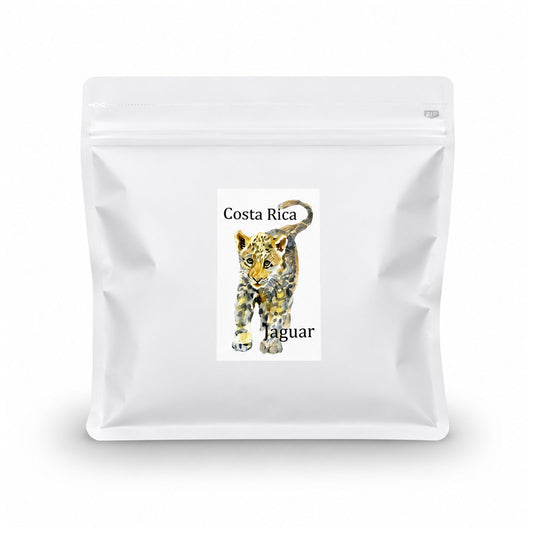 コスタリカ SAVE JAGUAR ブラックハニー