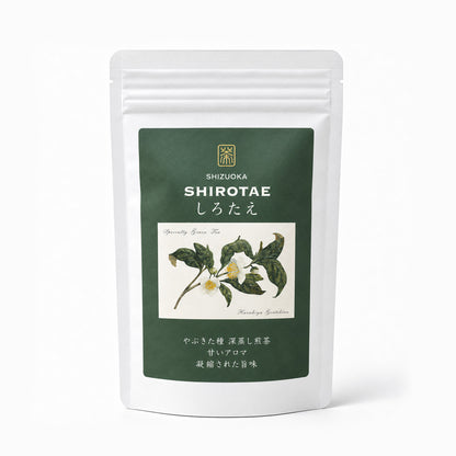 しろたえ【茶葉 100g】スペシャリティ緑茶 日本茶